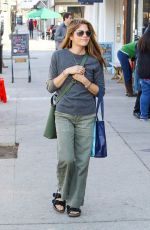 SELMA BLAIR Out Shopping in Los Angeles 02/28/2018