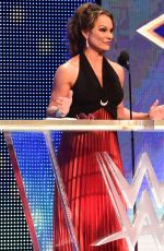 2018 WWE Hall of Fame Induction Ceremony