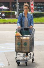 ALESSANDRA AMBROSIO Out Shopping in Los Angeles 04/01/2018