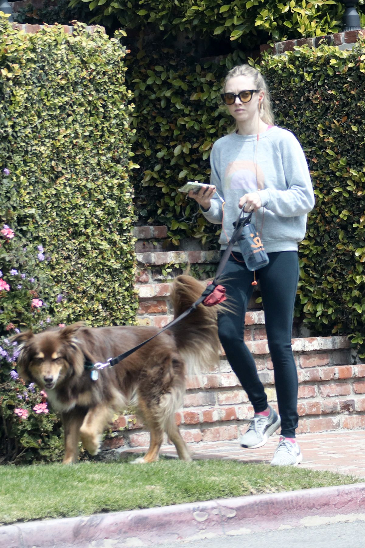 AMANDA SEYFRIED Out with Her Dog Finn in Los Angeles 04/05/2018 ...