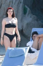 AMELIA GRAY HAMLIN in Bikini at a Pool in Cabo San Lucas 04/03/2018