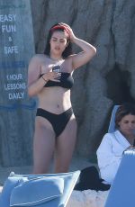 AMELIA GRAY HAMLIN in Bikini at a Pool in Cabo San Lucas 04/03/2018