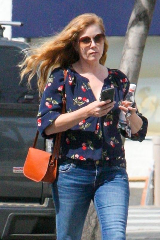 AMY ADAMS Out and About in Los Angeles 04/06/2018