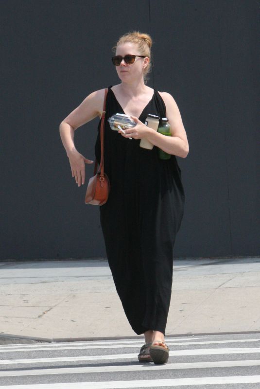 AMY ADAMS Out and About in Los Angeles 04/08/2018