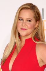 AMY SCHUMER at I Feel Pretty Premiere in Los Angeles 04/17/2018