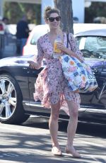 ASHLEY GREENE Shopping at Bristol Farms in Los Angeles 04/16/2018