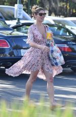 ASHLEY GREENE Shopping at Bristol Farms in Los Angeles 04/16/2018