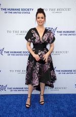 BELLAMY YOUNG at Humane Society of the United States