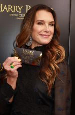 BROOKE SHIELDS at Harry Potter and the Cursed Child Broadway Opening in New York 04/22/2018