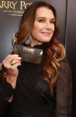 BROOKE SHIELDS at Harry Potter and the Cursed Child Broadway Opening in New York 04/22/2018