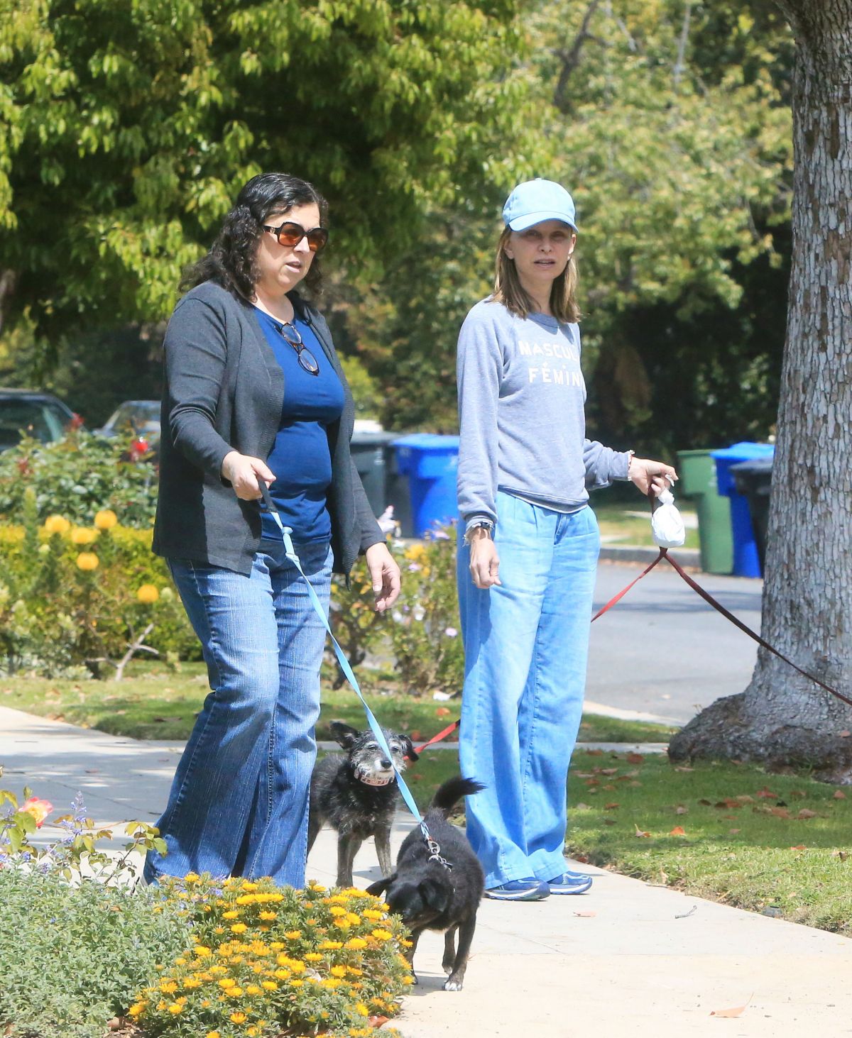 CALISTA FLOCKHART Out with Her Dogs in Brentwood 04/24/2018 – HawtCelebs