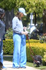 CALISTA FLOCKHART Out with Her Dogs in Brentwood 04/24/2018