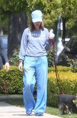 CALISTA FLOCKHART Out with Her Dogs in Brentwood 04/24/2018