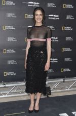 CRISTINA PELLICCIA at Genius Picasso Premiere in Rome 04/18/2018