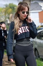 DAKOTA JOHNSON Out for Lunch in Los Angeles 04/05/2018