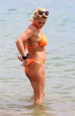 DANIELLA WESTBROOK in Bikini on the Beach in Marbella 04/24/2018