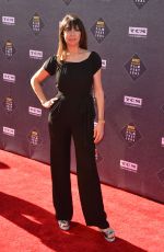 ILLEANA DOUGLAS at TCM Classic Film Festival Opening Night in Los Angeles 04/26/2018