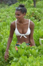 JASMINE TOOKES in Bikini Top at a Beach in Maui 04/01/2018