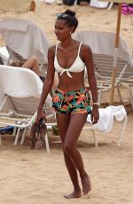 JASMINE TOOKES in Bikini Top at a Beach in Maui 04/01/2018
