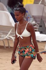 JASMINE TOOKES in Bikini Top at a Beach in Maui 04/01/2018