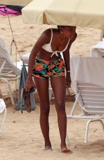 JASMINE TOOKES in Bikini Top at a Beach in Maui 04/01/2018