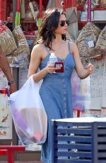 JENNA DEWAN Out Shopping in Chinatown in Los Angeles 04/07/2018