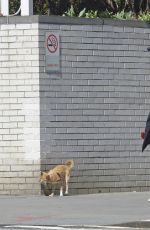 JENNIFER LAWRENCE Out with Her Dog in New York 04/01/2018