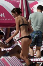 KAIA GERBER in Bikini on the Beach in Miami 03/30/2018
