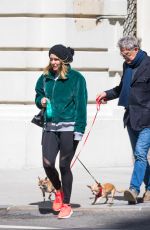 KATHARINE MCPHEE and David Foster Out with Their Dogs in New York 04/05/2018