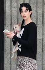 KRYSTEN RITTER and Adam Granduciel Take Their Dog to Animal Hospital in Los Angeles 04/04/2018