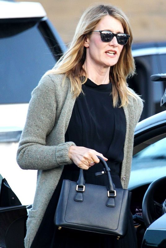 LAURA DERN Out and About in Los Angeles 04/22/2018