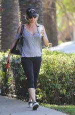 NICOLLETTE SHERIDAN Walks Her Dog Out in Calabasas 04/14/2018