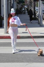 PHOEBE PRICE Out Walks Her Dog in Beverly Hills 04/19/2018