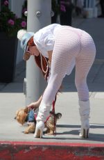 PHOEBE PRICE Out Walks Her Dog in Beverly Hills 04/19/2018