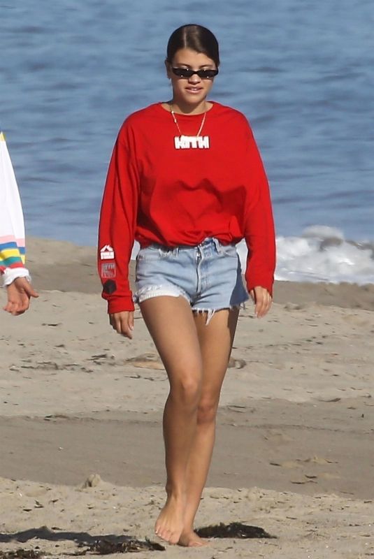 SOFIA RICHIE in Denim Shorts at a Beach in Malibu 04/22/2018