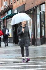 SUSAN SARANDON Out and About in New York 04/16/2018