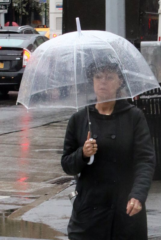 SUSAN SARANDON Out and About in New York 04/16/2018