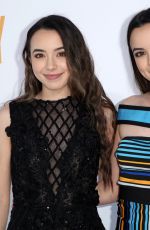 VERONICA and VANESSA MERRELL at I Feel Pretty Premiere in Los Angeles 04/17/2018