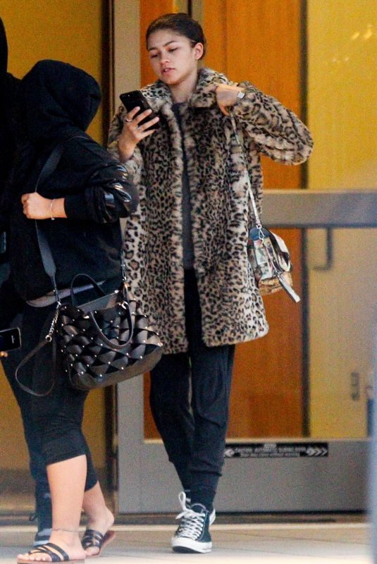 ZENDAYA Arrives on a Flight in Boston 04/25/2018