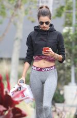 ALESSANDRA AMBROSIO Heading to a Gym in Los Angeles 05/02/2018