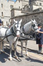 AMANDA HOLDEN at Horsedrawn Carriage Ride Her Royal Wedding Correspondent Role Windsor in Berkshire 05/14/2018