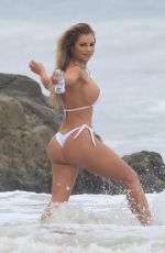 AMY LEE in Bikini at a Beach in Malibu 05/03/2018