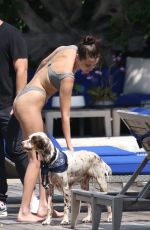 BELLA HADID in Bikini at a Pool in Miami 04/30/2018