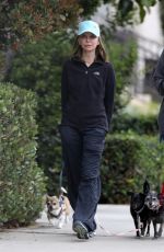 CALISTA FLOCKHART Out with Her Dogs in Santa Monica 04/30/2018