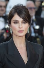 CATRINEL MARLON at Ash is Purest White Premiere at Cannes Film Festival 05/11/2018