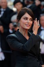 CATRINEL MARLON at Ash is Purest White Premiere at Cannes Film Festival 05/11/2018