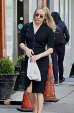 CHLOE SEVIGNY Out and About in New York 05/07/2018