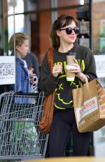 DAKOTA JOHNSON and Blake Lee Out Shopping in Los Angeles 05/14/2018