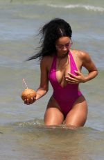 DRAYA MICHELE in Swimsuit at a Beach in Miami 05/15/2018