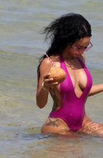 DRAYA MICHELE in Swimsuit at a Beach in Miami 05/15/2018